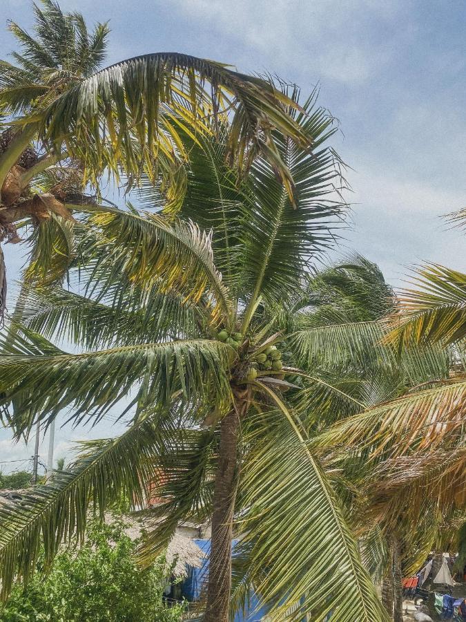 Mamallena Beachside Rincon Del Mar Zewnętrze zdjęcie